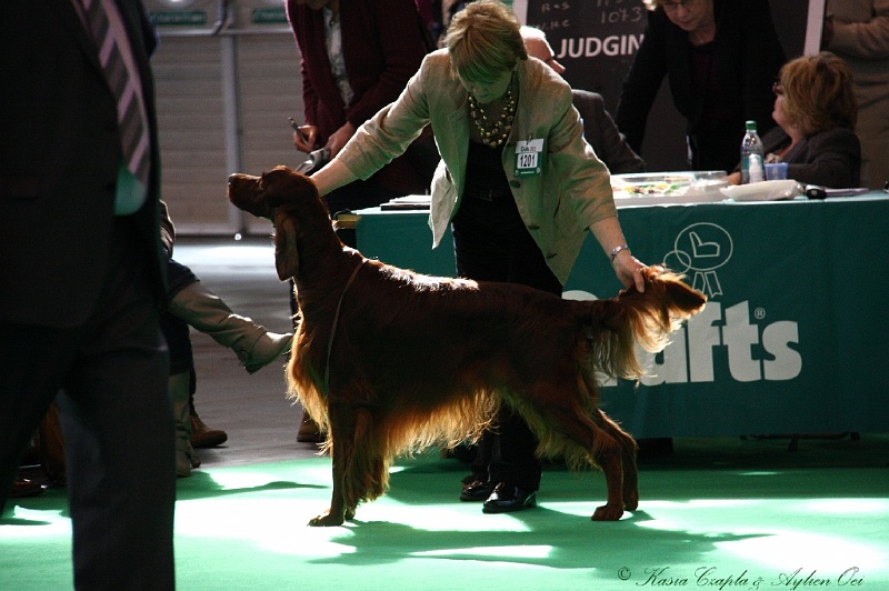 Crufts2011 412.jpg